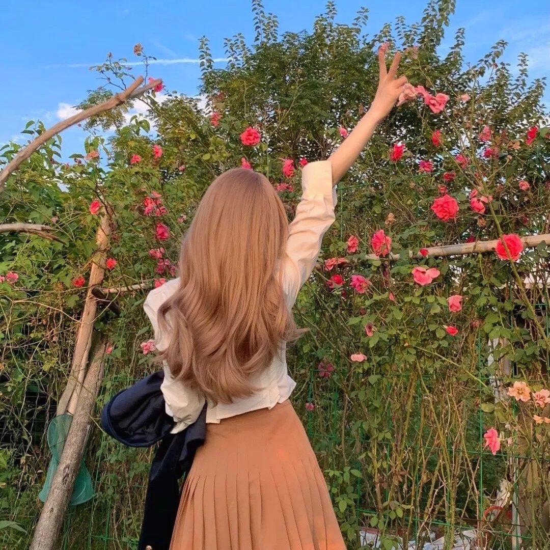 泡芙小姐第二季